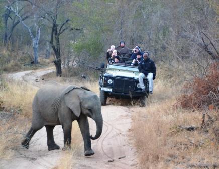 Spännande safari i öppen jeep